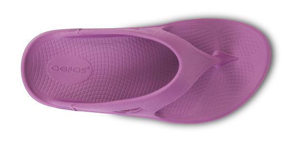1000PLUM_shot6.jpg