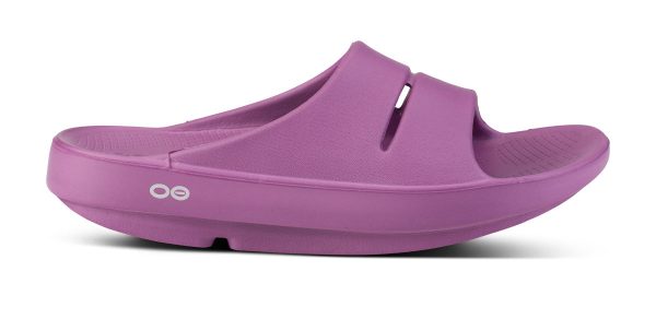 1100PLUM_shot1_1.jpg