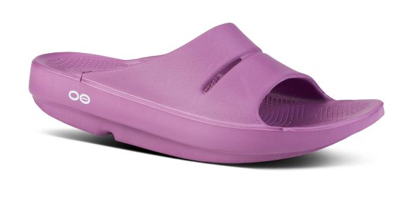 1100PLUM_shot2.jpg