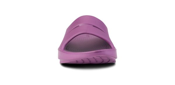 1100PLUM_shot3.jpg