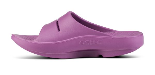 1100PLUM_shot4_1.jpg