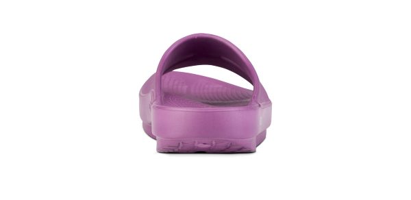 1100PLUM_shot5.jpg
