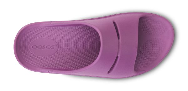 1100PLUM_shot6.jpg