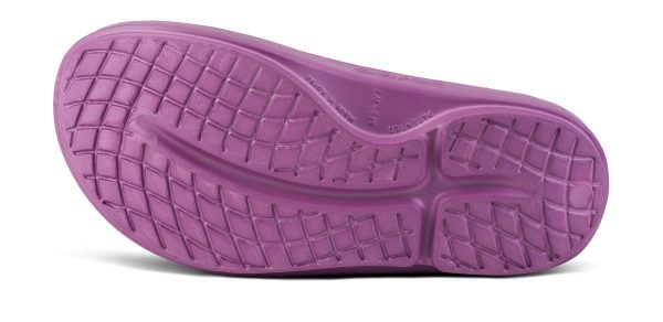 1100PLUM_shot7.jpg