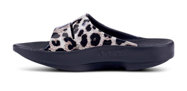 1103BLKCHEET_shot4.jpg