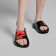 1103_hib_1-1.png