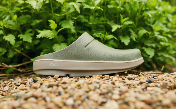 1201_foliage_product-1.png