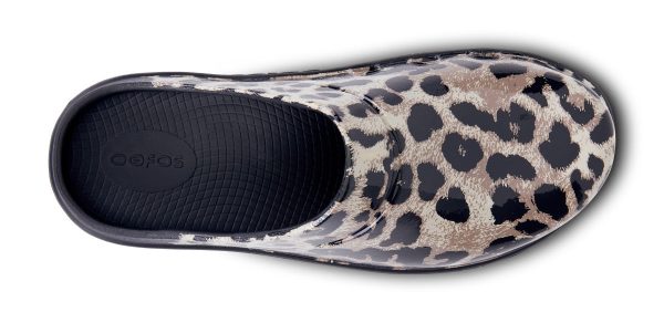 1203BLKCHEET_shot6.jpg