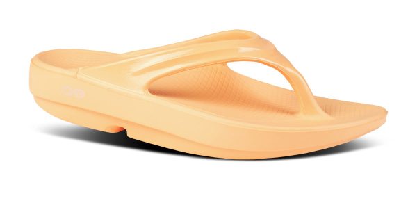 1400GLOWW5_shot2-1.jpg