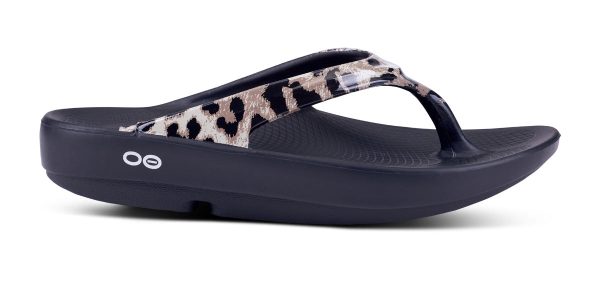 1403BLKCHEET_shot1.jpg