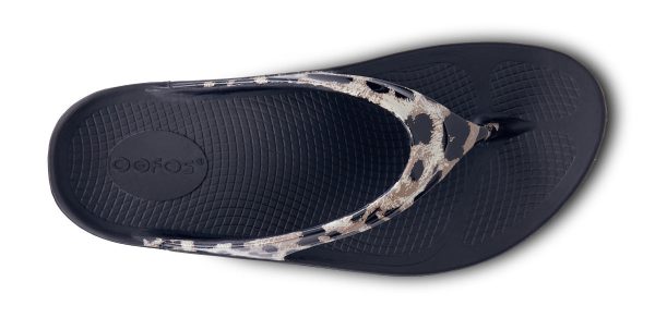 1403BLKCHEET_shot6.jpg