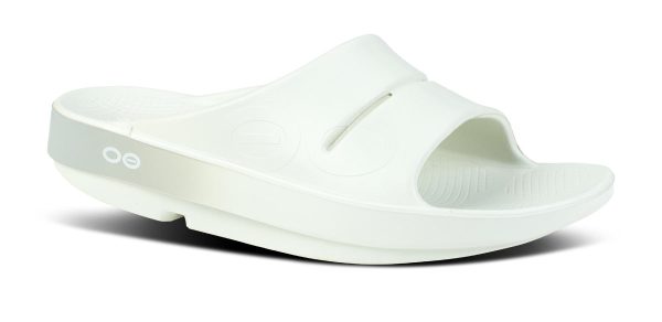 1500CSGYFD_shot2-1.jpg