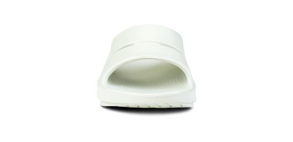 1500CSGYFD_shot3-1.jpg