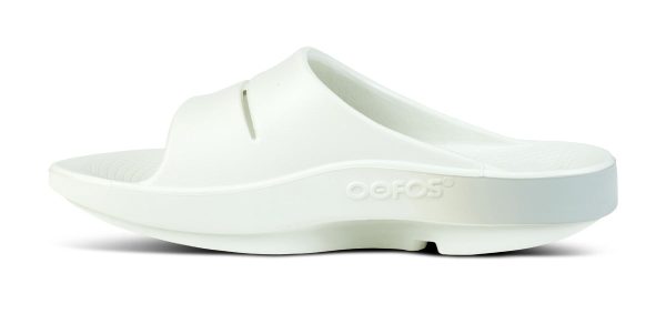 1500CSGYFD_shot4-1.jpg