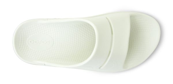 1500CSGYFD_shot6-1.jpg