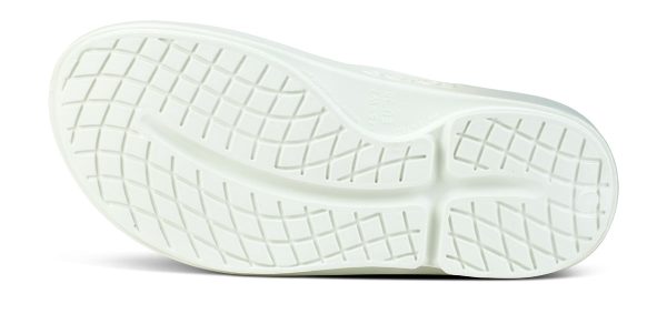 1500CSGYFD_shot7-1.jpg