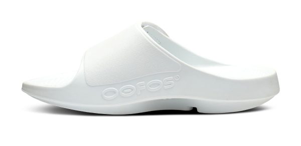 1550WHITE_shot4.jpg