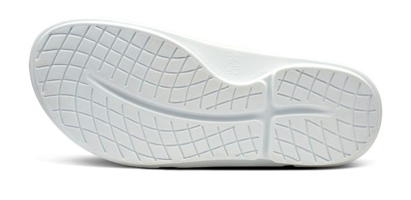 1550WHITE_shot7.jpg