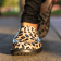 Cheetah_OOCLOOG.png