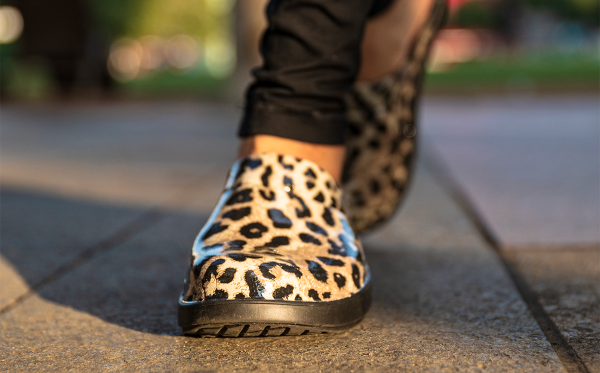 Cheetah_OOCLOOG.png