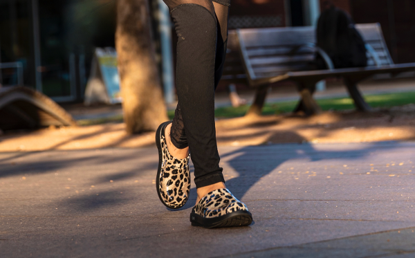 Cheetah_OOCLOOG2.png