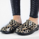 Cheetah_OOCLOOG3.png