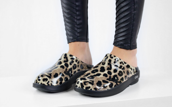 Cheetah_OOCLOOG3.png