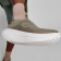 OOmyZen_Foliage2-1.png