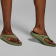 w_1000_foliage_1-1.png