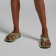 w_1000_foliage_quickview-1.png